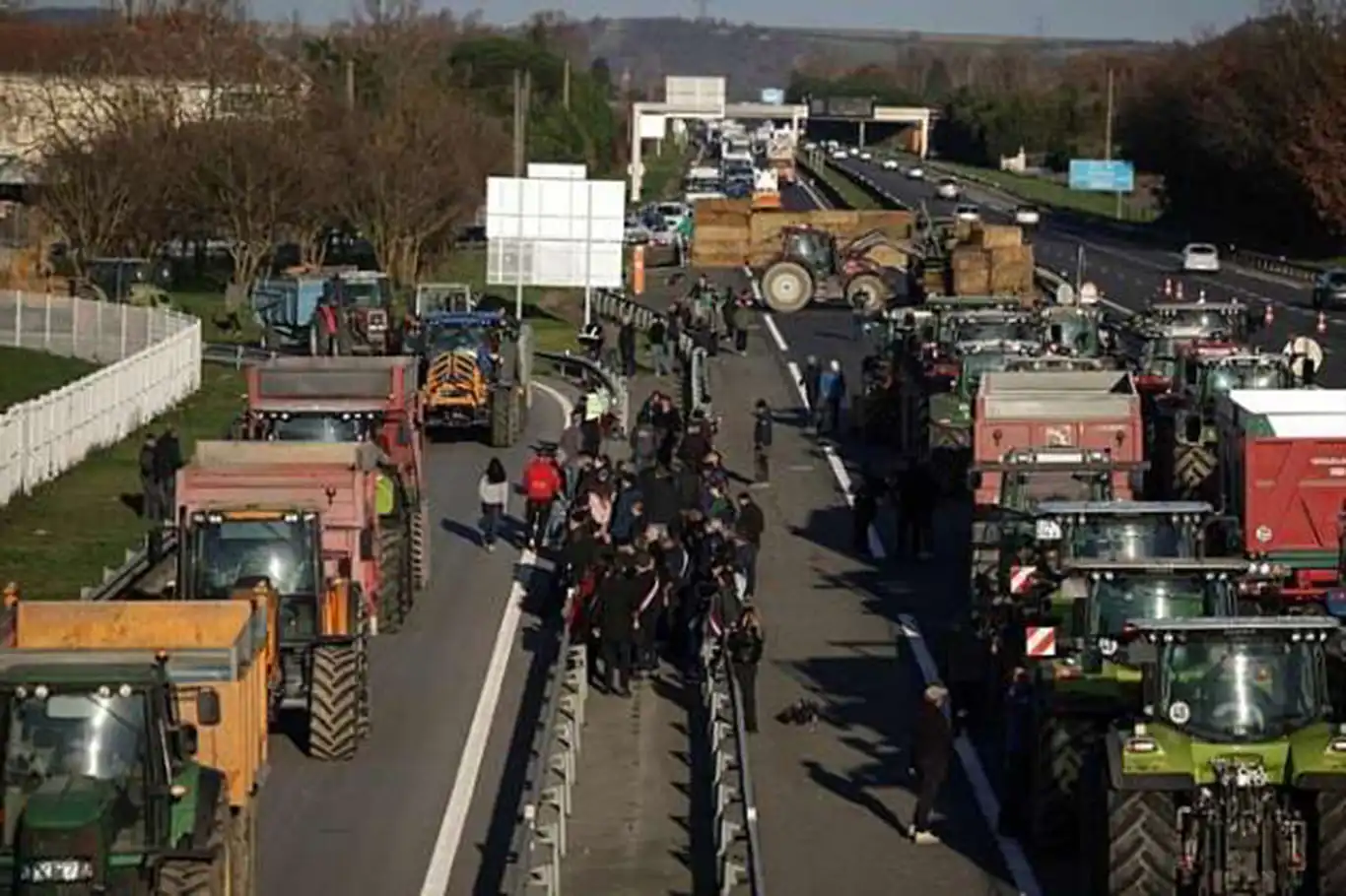  France launches massive cattle vaccination amid farmer protests over culling policy