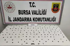 Bursa'da tarihi eser operasyonu: 2 gözaltı