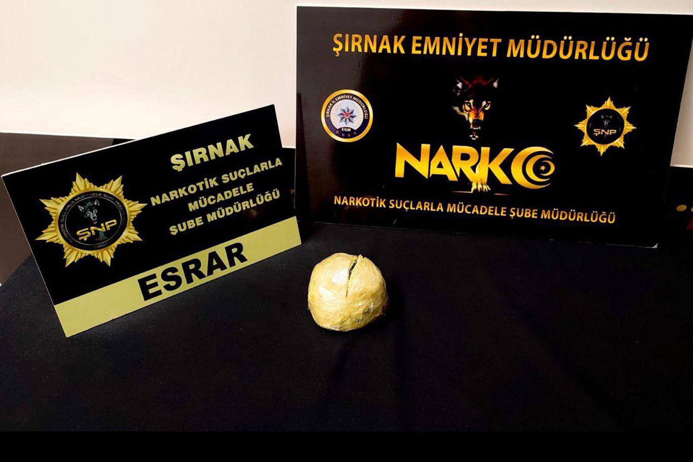 Şırnak'ta asayiş operasyonları: 117 gözaltı