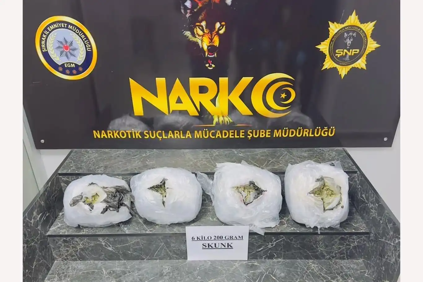 Şırnak’ta 6 kilo 200 gram skunk ele geçirildi