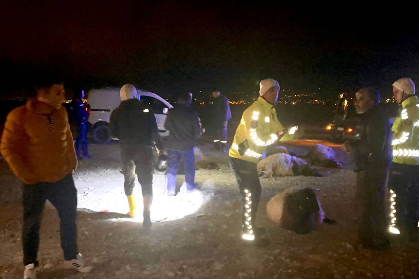 Malatya'da araç koyunların arasına daldı: 12 koyun telef oldu