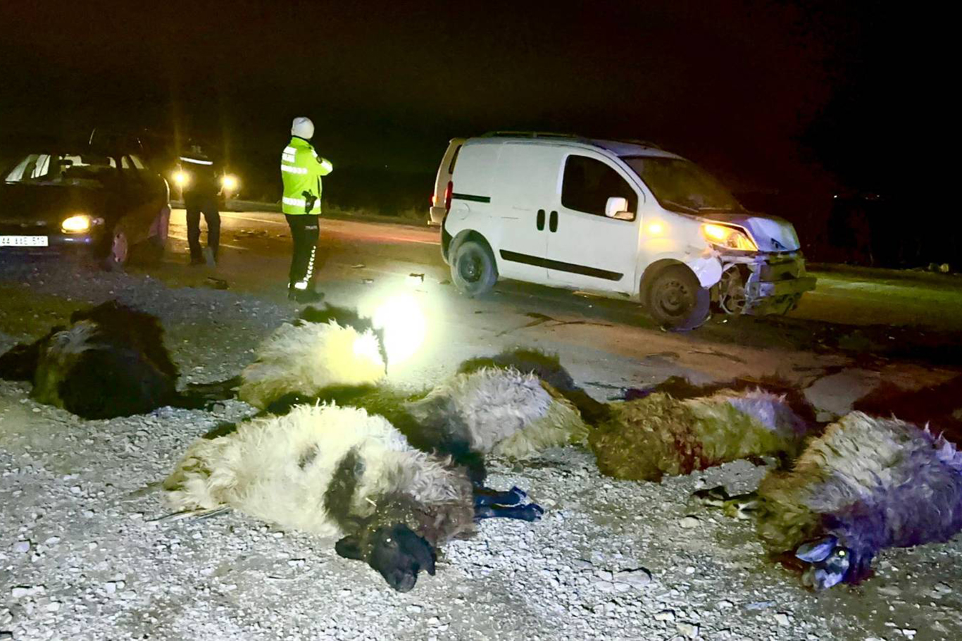 Malatya'da araç koyunların arasına daldı: 12 koyun telef oldu