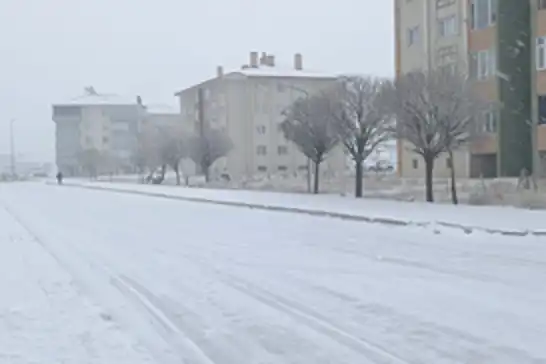 Bitlis’te 35 köy yolu ulaşıma kapandı