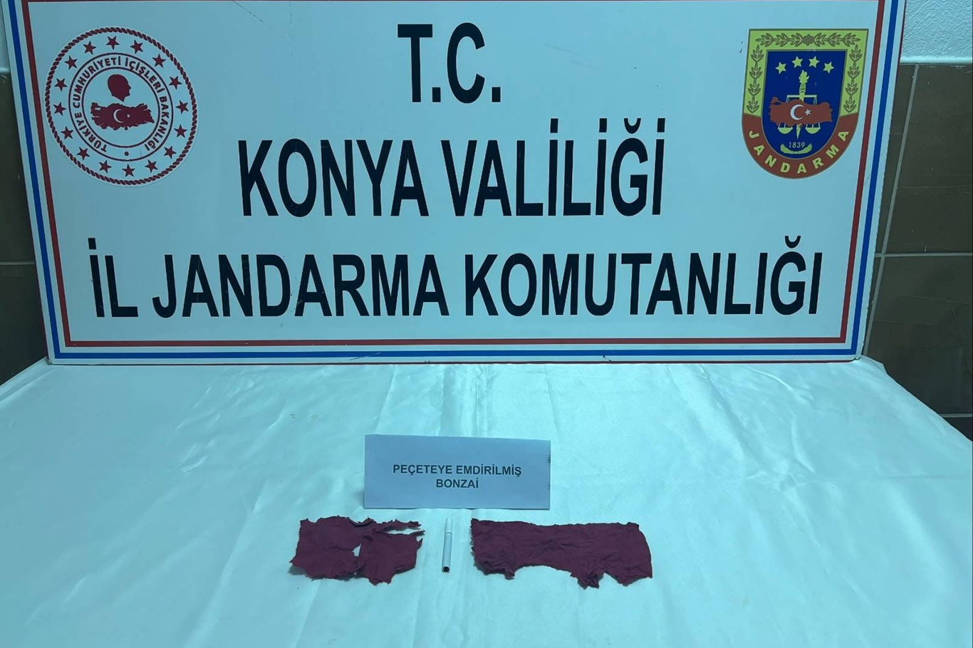 Konya’da peçeteye emdirilmiş sentetik bonzai ele geçirildi