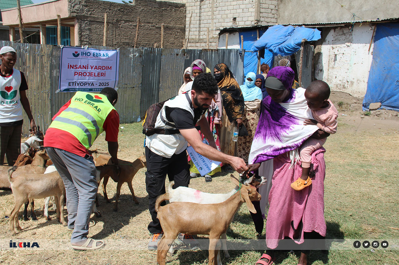 4e602fe5-abed-4ad0-9d74-67a2e0862a35