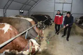 Ordu’da 164 yatırımcıya kırsal kalkınma desteği