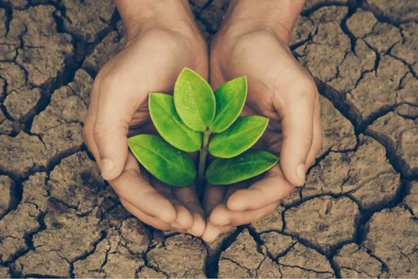 Türkiye’s environmental protection expenditure surges to 441 billion TL in 2024