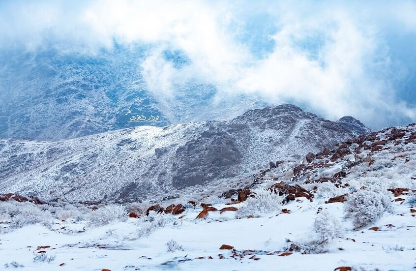 السعودية.. ثلوج نادرة تزين جبال اللوز في تبوك