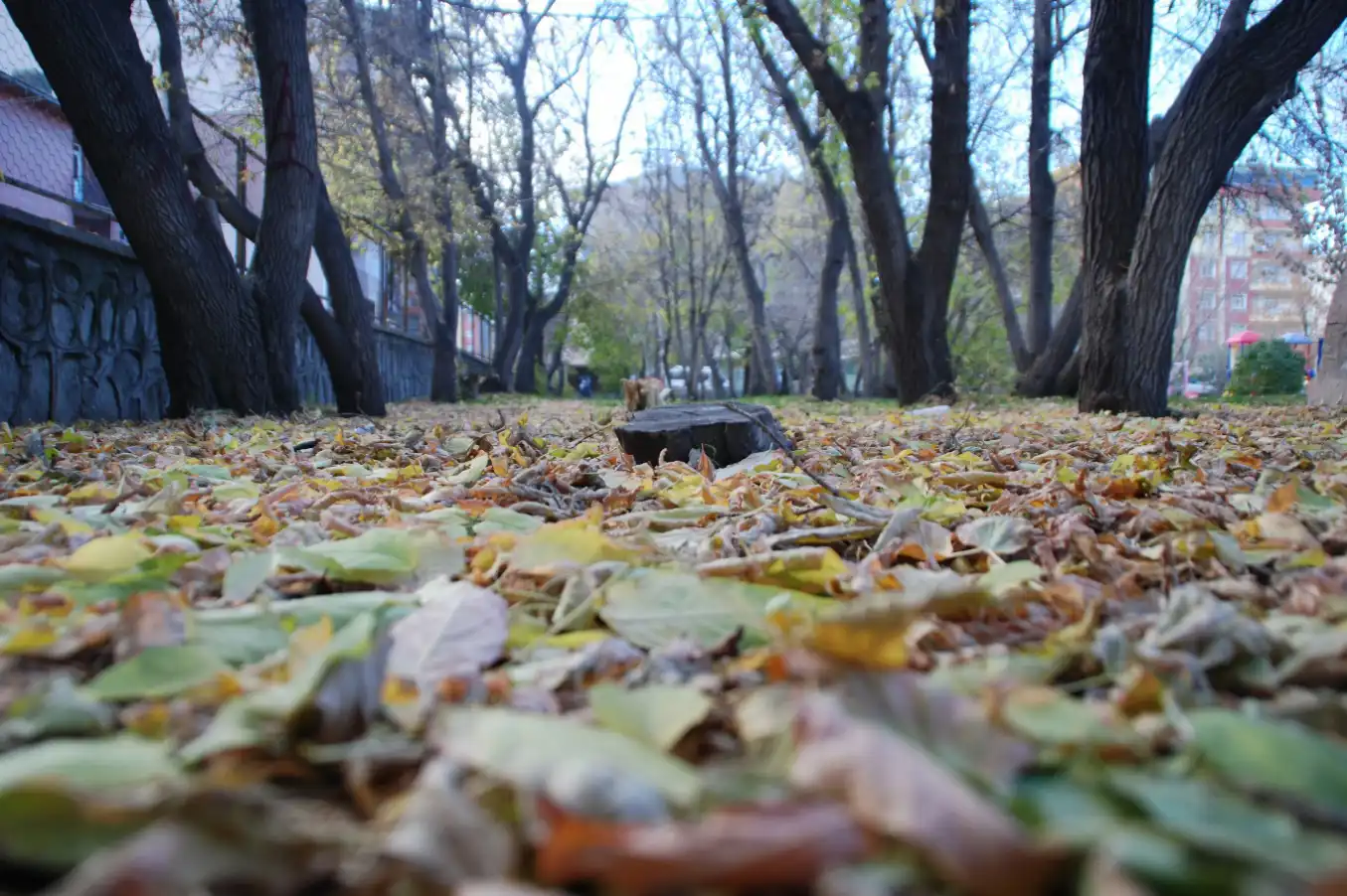 Ülke genelinde yağış beklenmiyor