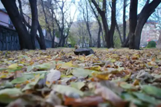 Wê li giştîyê welat şilî tinebe