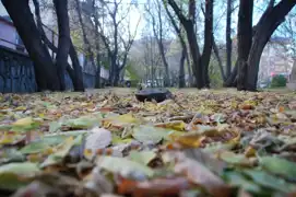 Wê li giştîyê welat şilî tinebe