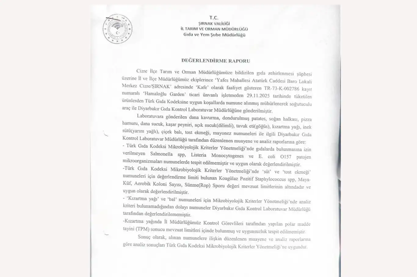 Şırnak'ta pizza yedikten sonra ölüm iddiası: İş yerinin gıda maddeleri temiz çıktı