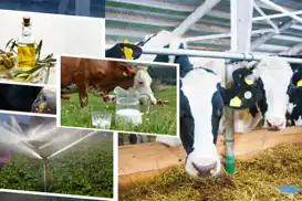 Çiftçilere tarımsal destekleme ödemesi yapılacak