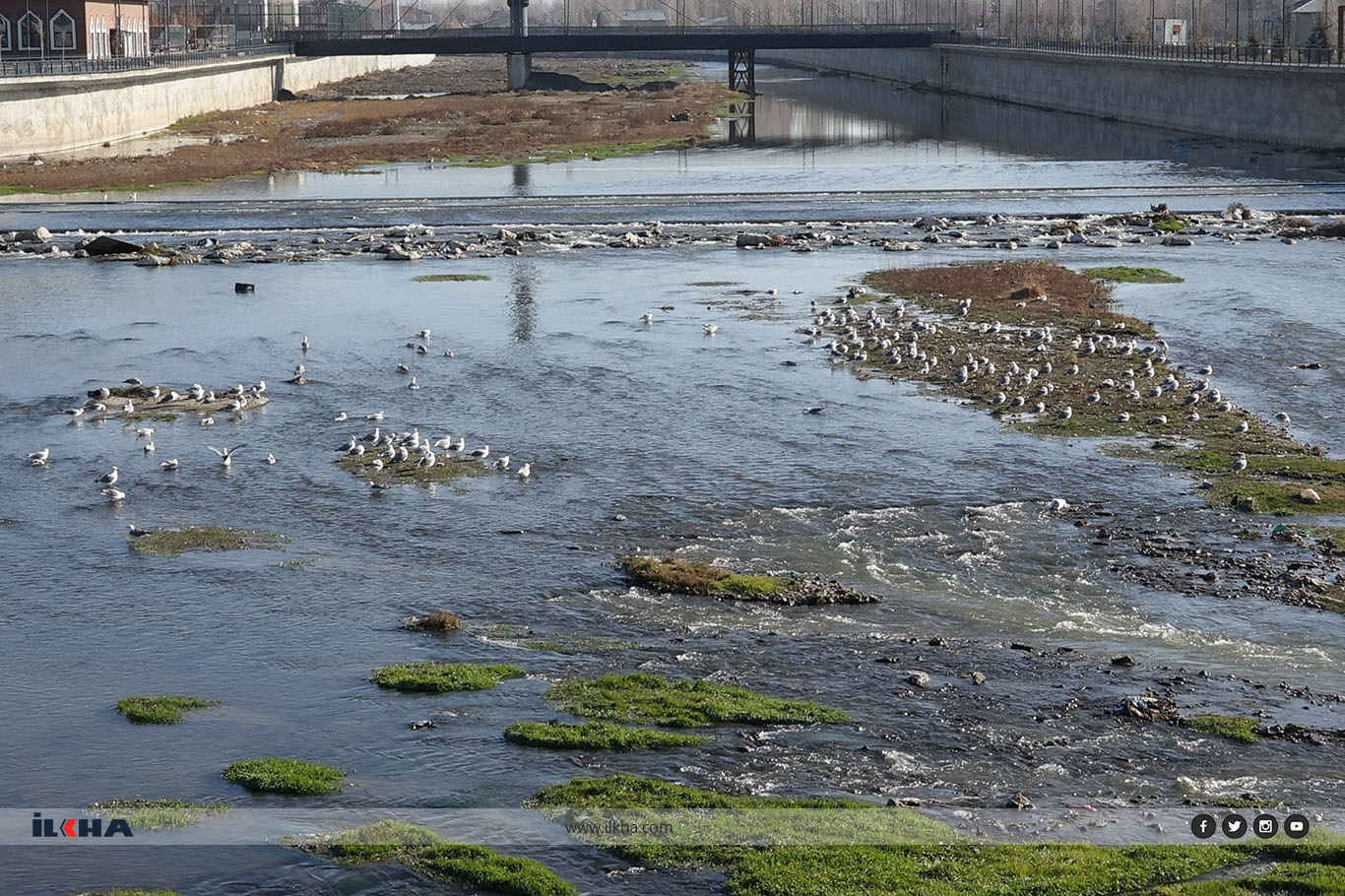 df223b48-d8fa-4879-99a0-a2db604a0832