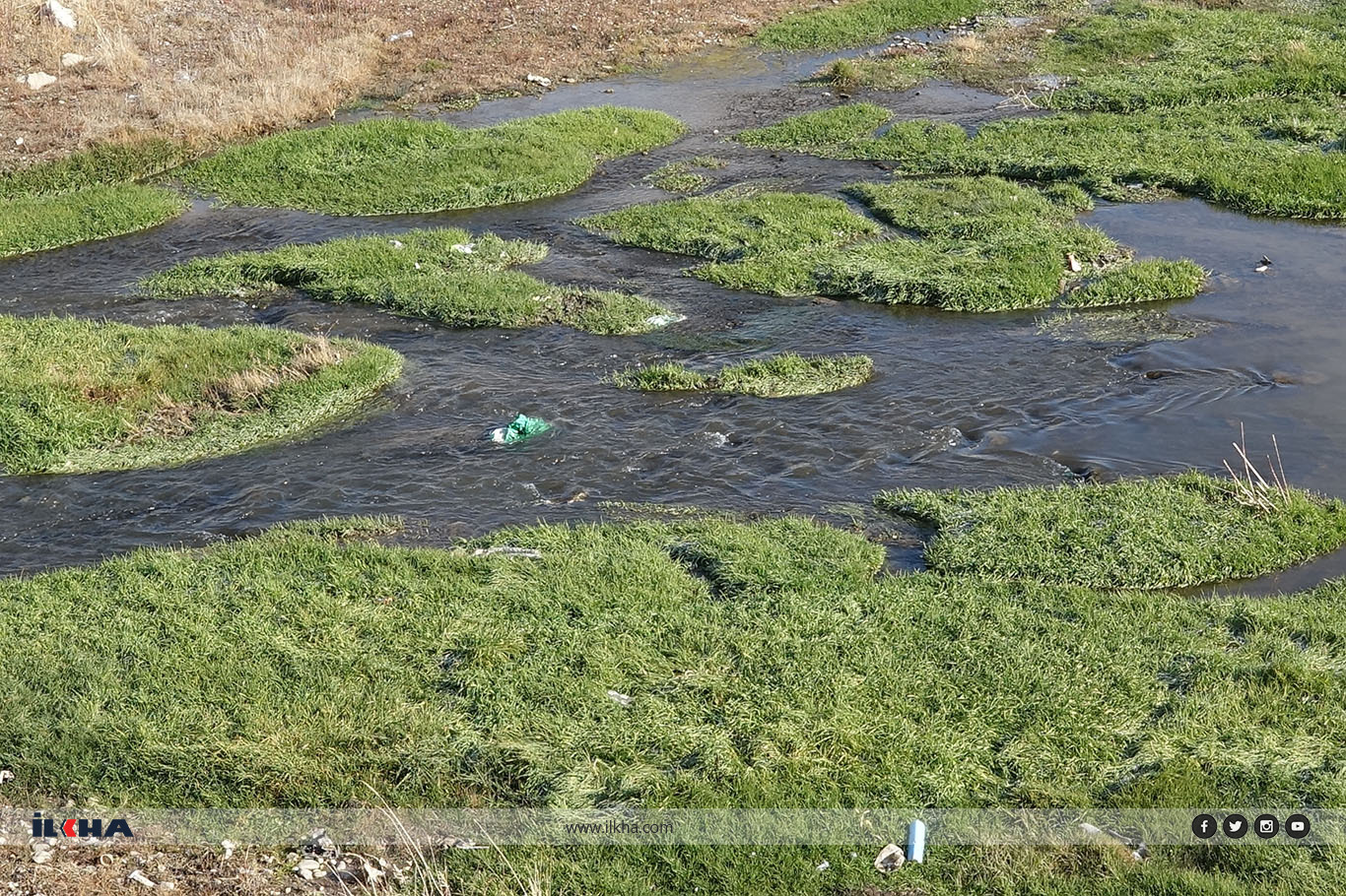 71ae1c2c-43f6-4579-ae3f-764e71b93817