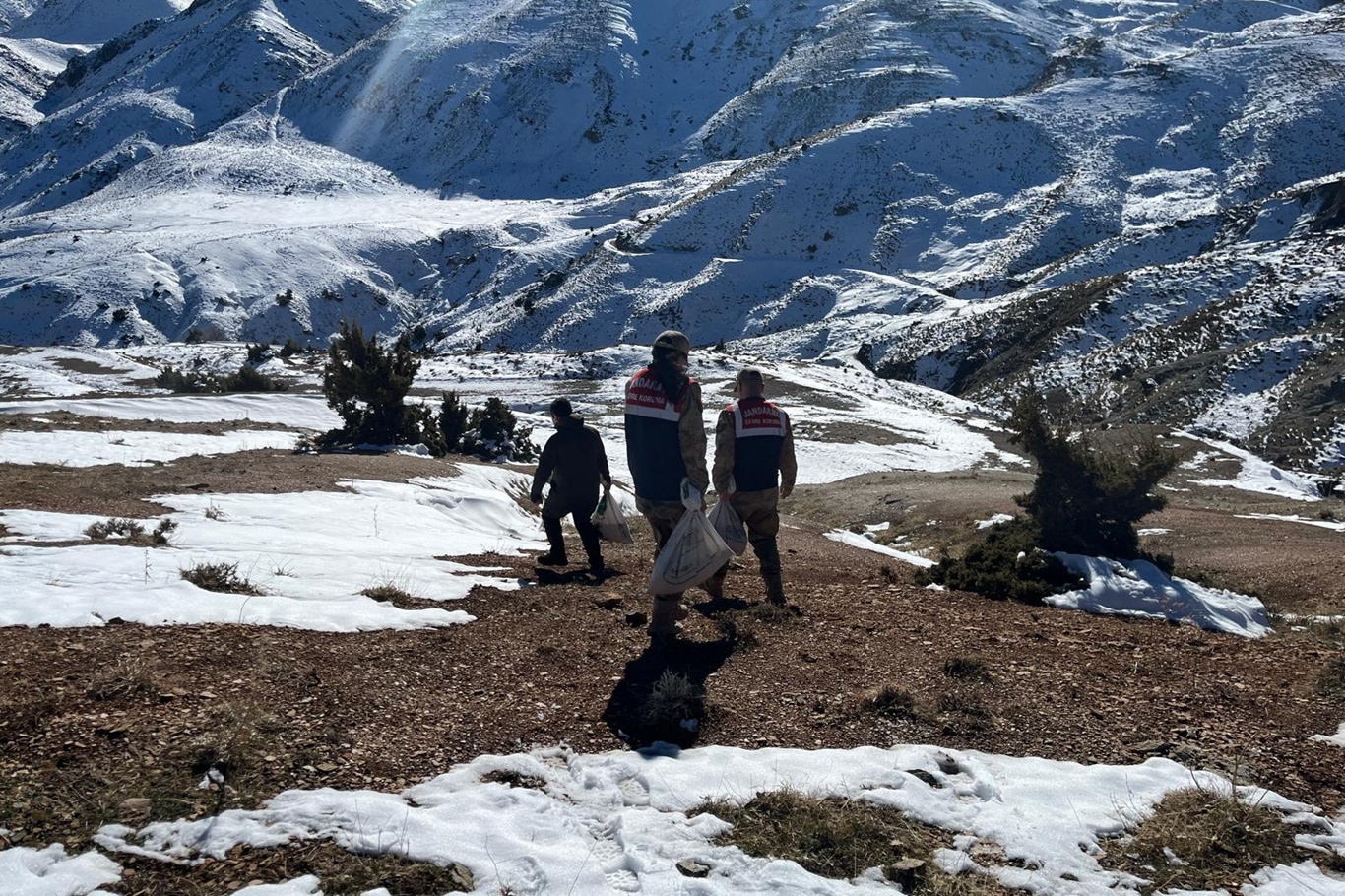  Siirt’te zorlu kış şartlarında yaban hayvanları için doğaya yem bırakıldı