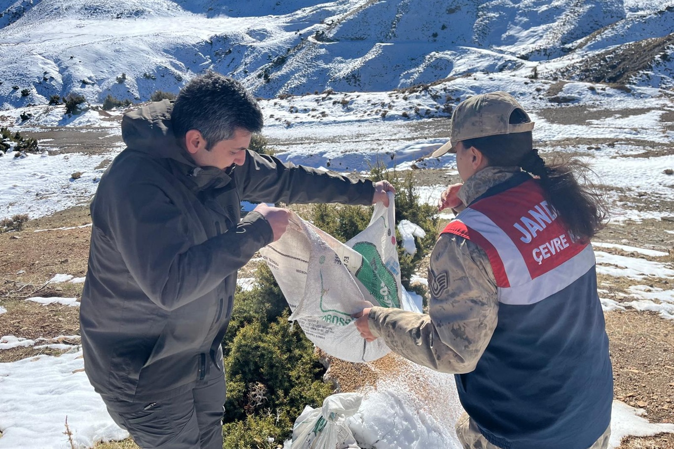  Siirt’te zorlu kış şartlarında yaban hayvanları için doğaya yem bırakıldı