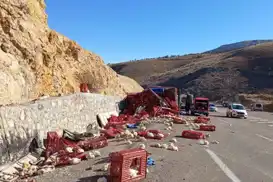 Tavuk yüklü kamyon devrildi: Yüzlerce hayvan telef oldu, sürücü yaralandı