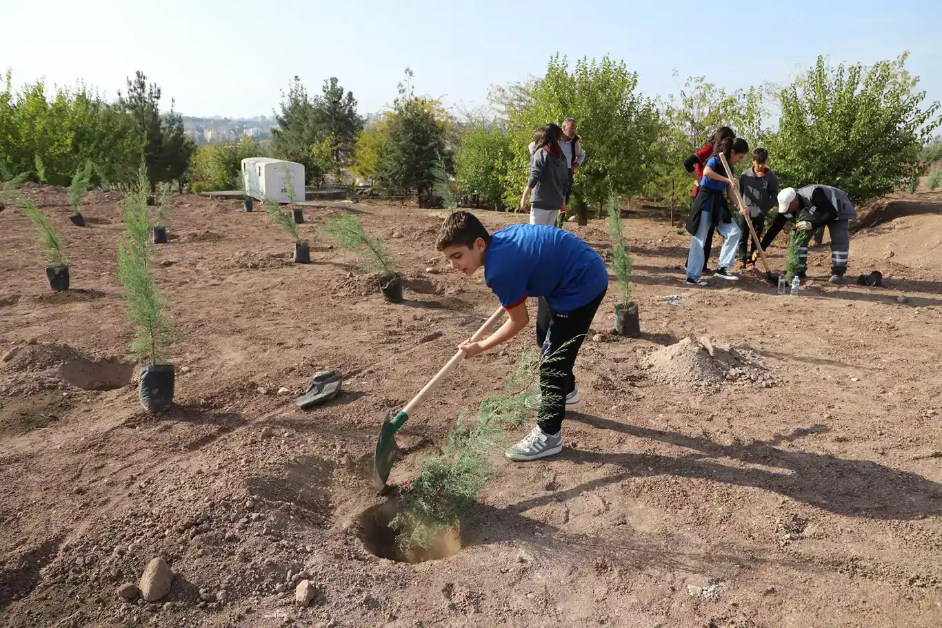 Gabar’da 100 bin fidan hedefiyle yeşil seferberlik başladı
