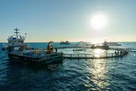 Denizde Kafes Balıkçılığı Projesi ilk hasadını verdi