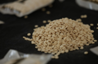 تقرير أممي.. توقف واسع لإنتاج الكبتاغون في سوريا