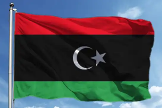 Libya:  Ankara'daki kazada tüm göstergeler teknik arızayı gösteriyor, ülkede 3 günlük yas ilan edildi
