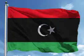 Libya:  Ankara'daki kazada tüm göstergeler teknik arızayı gösteriyor, ülkede 3 günlük yas ilan edildi