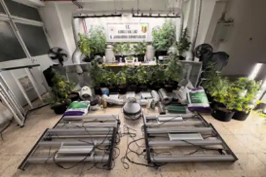 Bursa’da uyuşturucu operasyonu: 1 gözaltı