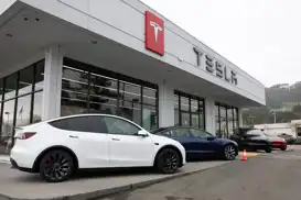 Tesla Model 3’lerde kapı açma mekanizması mercek altında