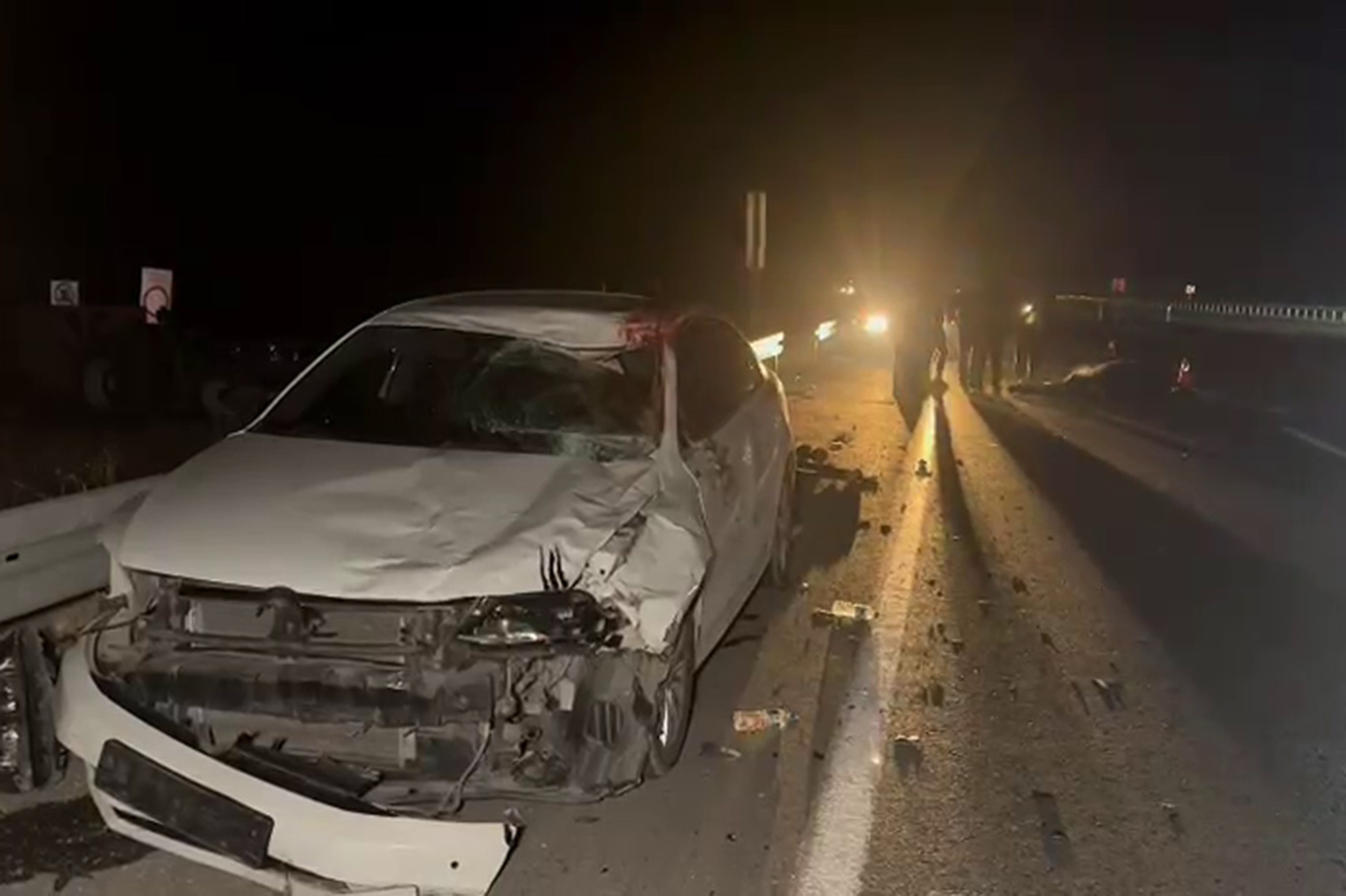 Kaçan yarış tayları kara yoluna çıktı: 6 tanesi telef oldu