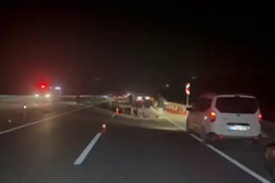 Malatya Valiliği: Kaçan yarış atlarından 6'sı telef oldu, 2 vatandaş yaralandı