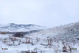 لە هەرێم کوردستان باران و لە ناوچە شاخاوییەکان بەفر دەبارێت