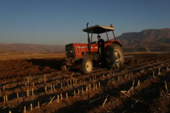 Siirtli çiftçilere uyarı: ÇKS başvurularında son günler