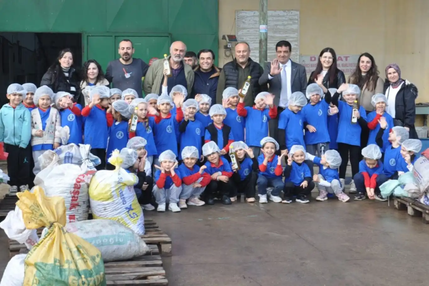 Manisa'da ana sınıfı öğrencileri, okul bahçesinde zeytin toplayıp yağa dönüştürdü
