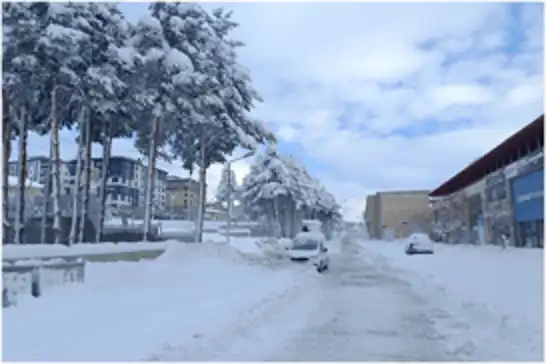 Bitlis’te hayat durdu, kırsal alanlarla iletişim kesildi