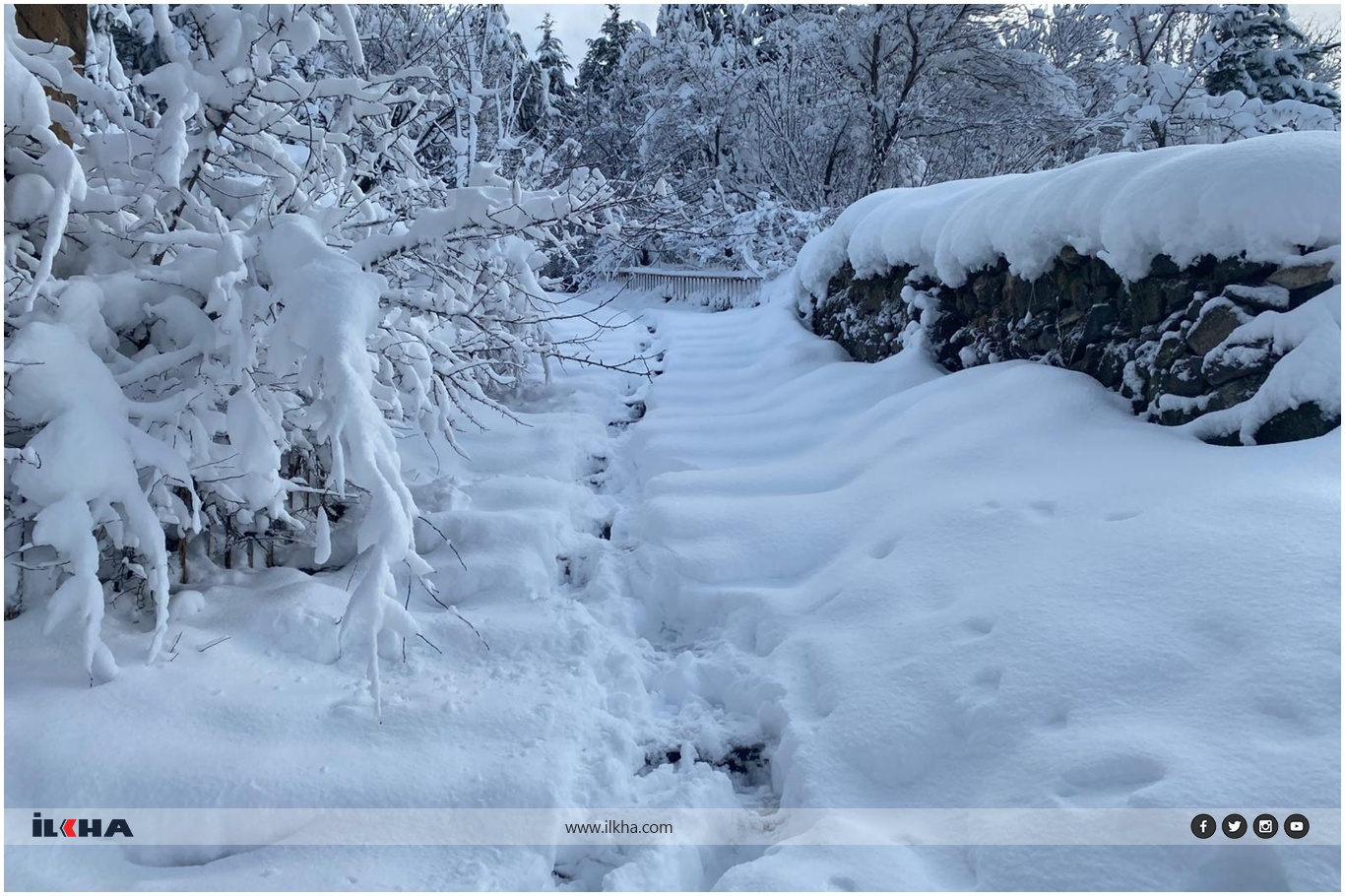 74abed2c-19c9-4a66-8fd9-f8cee6cca6f4