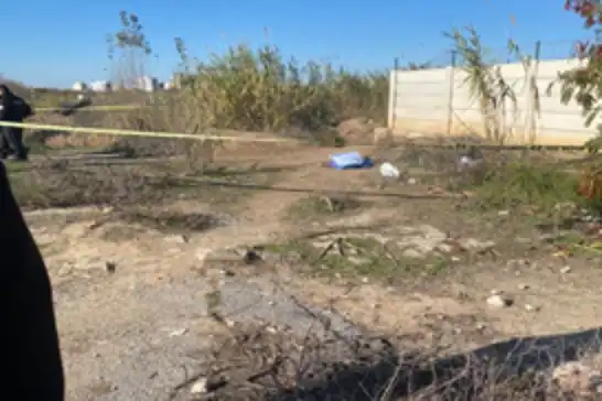 Adana’da yol kenarında kadın cesedi bulundu