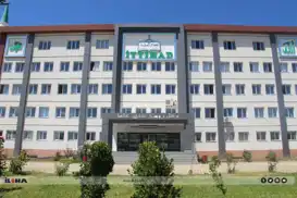 Islamic scholars issue strong warning over mockery of salah