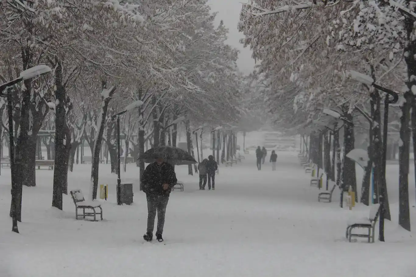 Severe winter storm paralyzes rural life across eastern and central Türkiye