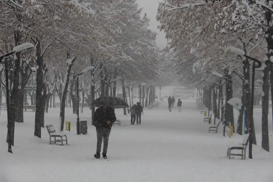 Severe winter storm paralyzes rural life across eastern and central Türkiye