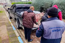 Sinop’ta kaçak avlanan 625 kalkan balığına el konuldu