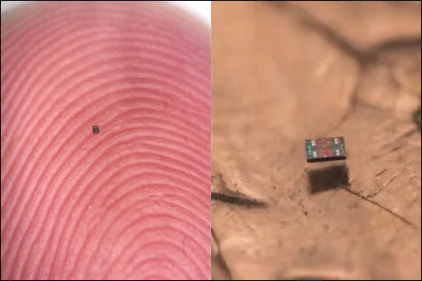 Tuz tanesi kadar robot: Algılıyor, düşünüyor, hareket ediyor