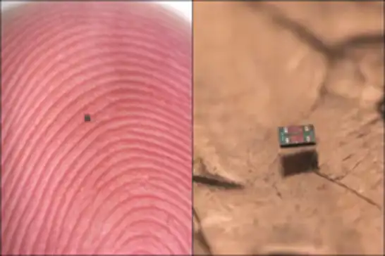 Tuz tanesi kadar robot: Algılıyor, düşünüyor, hareket ediyor