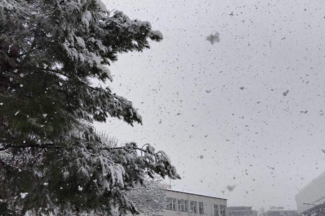 Batman’da okul çıkışında öğrencilerden kar sevinci