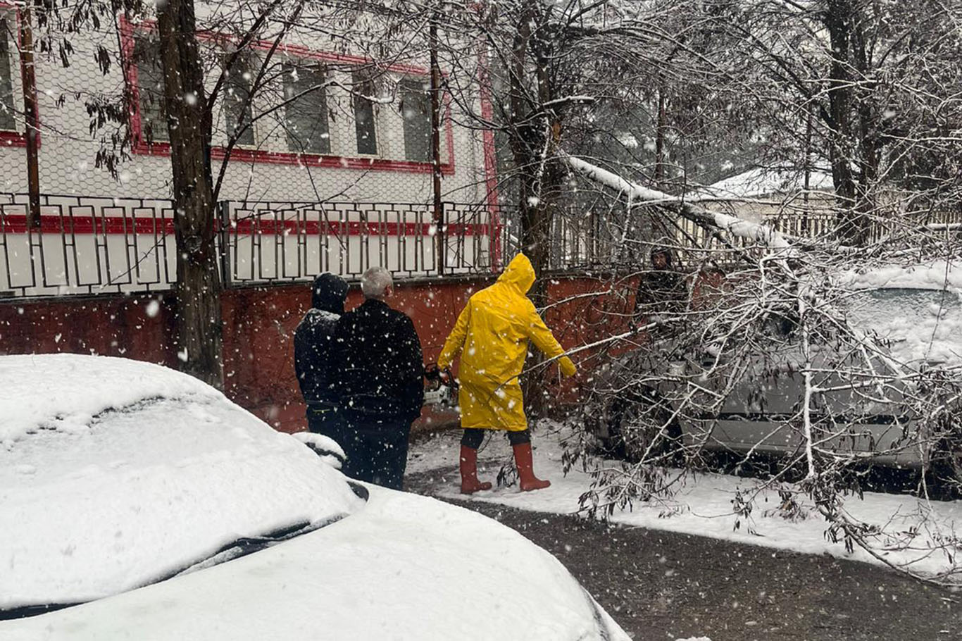 Batman'da kar yükünü taşıyamayan ağaçlar devrildi