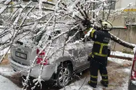 Batman'da kar yükünü taşıyamayan ağaçlar devrildi