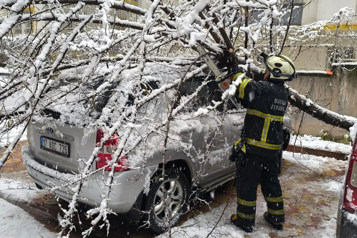 Batman'da kar yükünü taşıyamayan ağaçlar devrildi