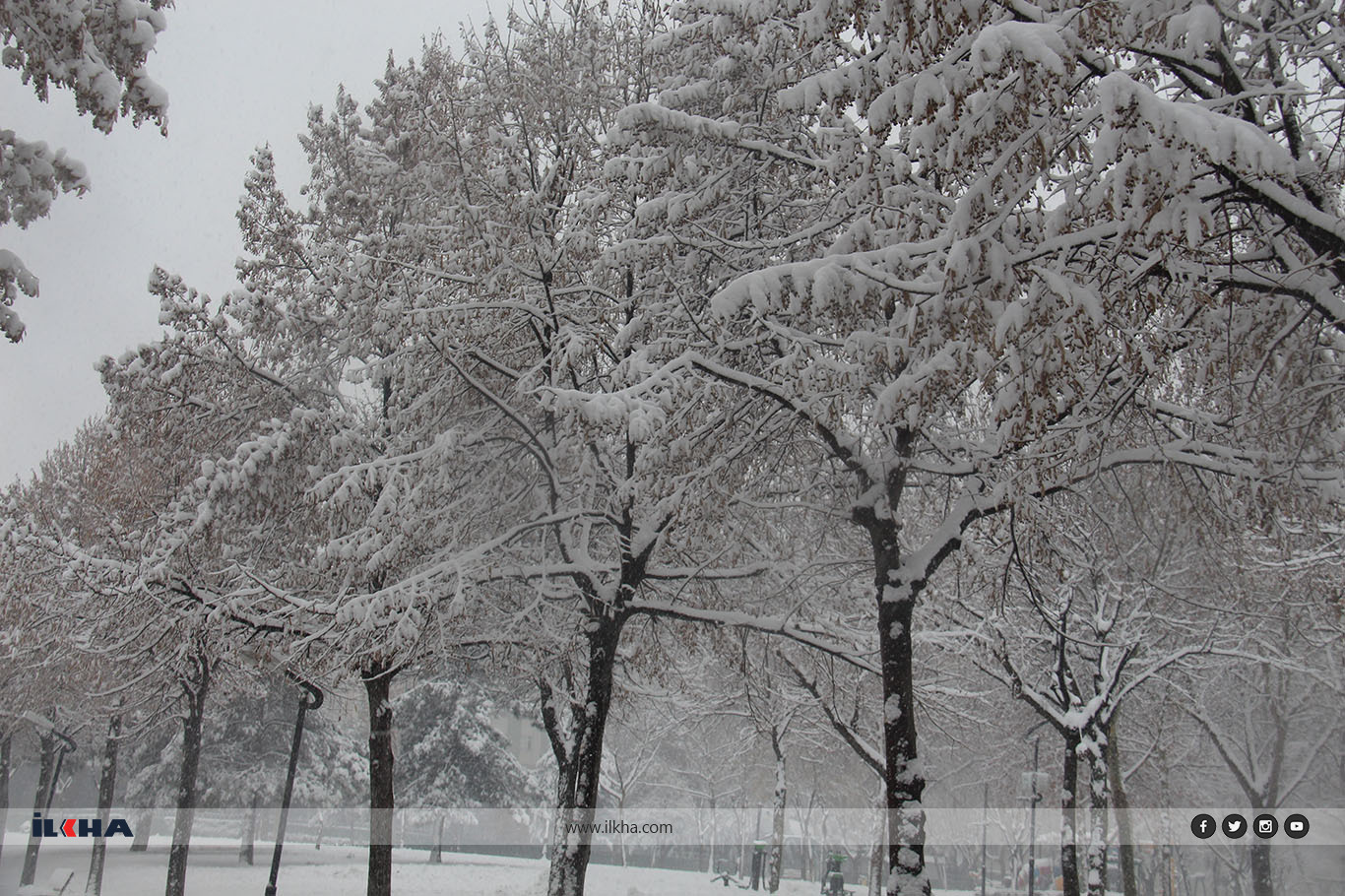 025037a9-156e-4ccf-83fc-ad8b7806266f