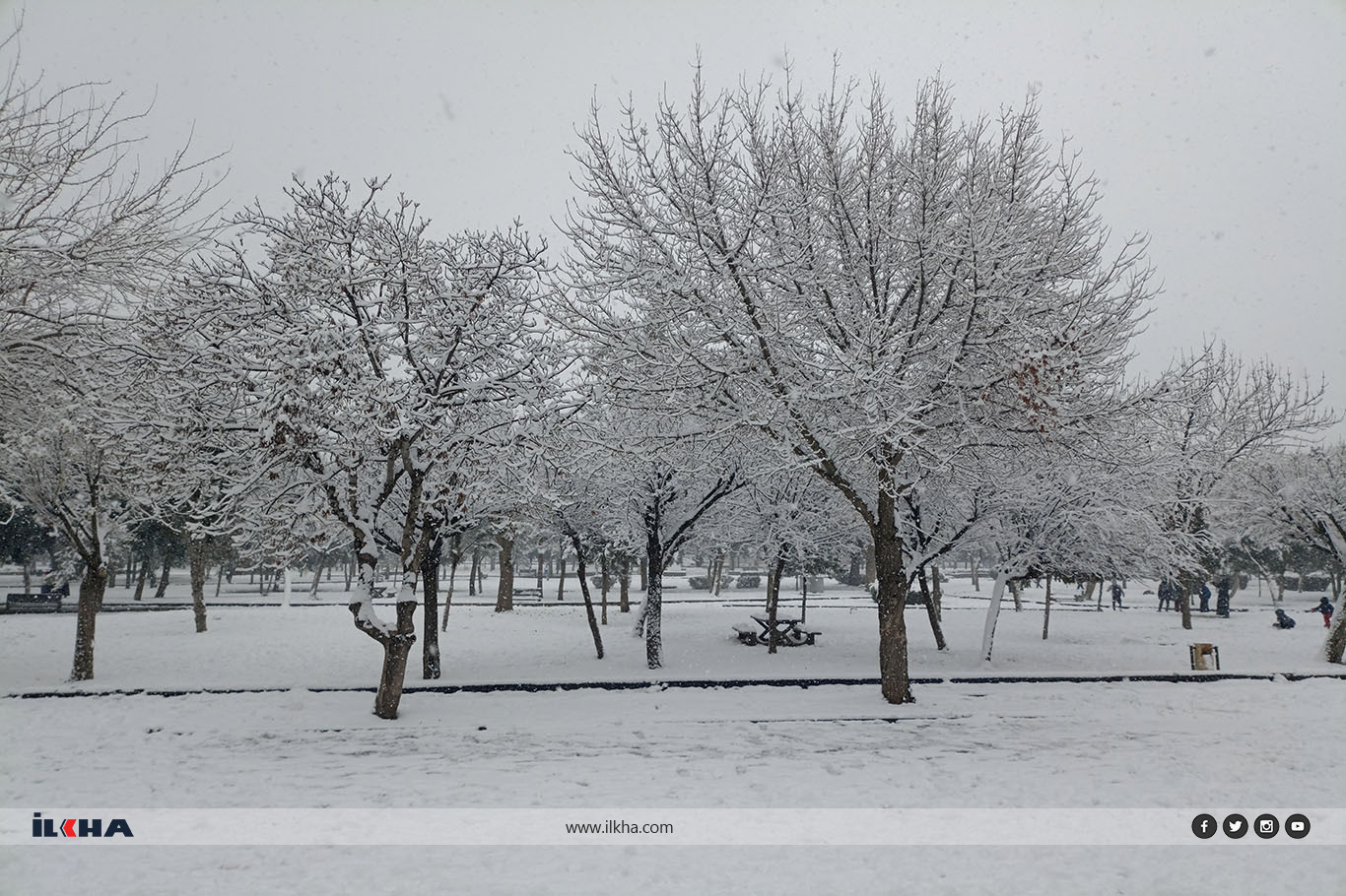 f44efb8e-fc34-41d0-a8c8-ff2a7e97063f