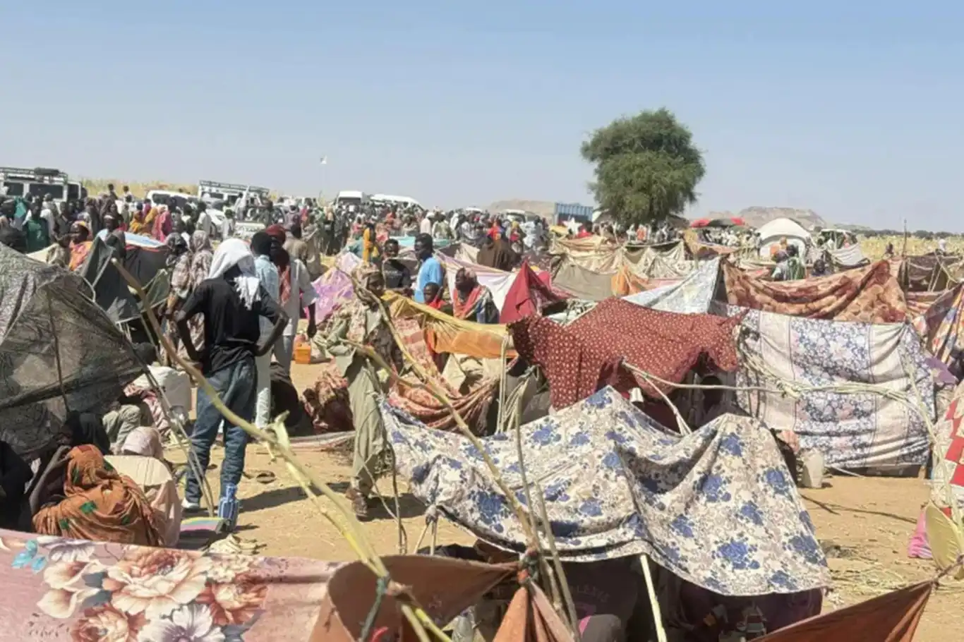 منظمة الهجرة الدولية: سجلنا 1290 نازحاً جديداً من ولايتين جنوبي السودان